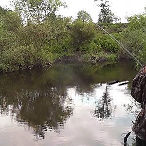 Barbel Fishing on the River Swale 34