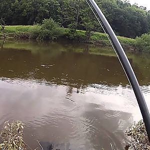 Barbel Fishing on the River Wye