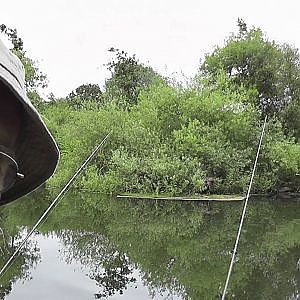 Barbel fishing on the River Swale 5 - A good take and a clean barbel