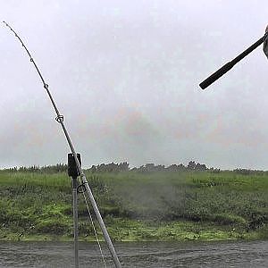 Barbel Fishing on the River Swale 98.