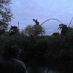 Barbel Fishing on the River Swale 15 - 11lb 10oz