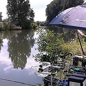 Pêche Barbeau en Alsace