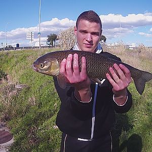 Pêche du chevesne en ultra-léger ( vidéo 400 abonnés )