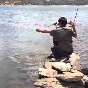 Pescando Barbos y Carpas, a mosca, con Manuel.