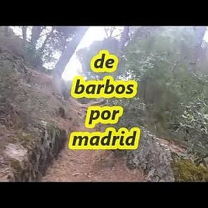 PESCA DE BARBOS A COLA DE RATA EN MADRID