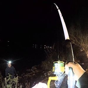 sacramento river sturgeon fishing jan 12 2015