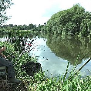 Feeder Fishing for Bream on Rivers