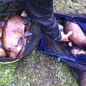 Brasem gevangen op boilies