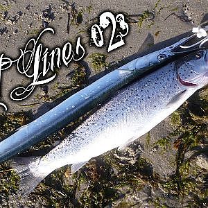 Angeln (Fishing) auf Meerforelle (Sea-trout) - Tight Lines 023 - GoPro 3 - Ostsee - DUO Lure Fusion