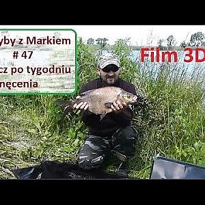 Wędkarstwo 3D - Na ryby z Markiem # 46 - Leszcz po tygodniu nęcenia