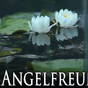 Elster-Saale-Kanal Angeln auf Schleie, Brassen & Hecht [Schkeuditz / Dölzig] HD Die Angelfreunde