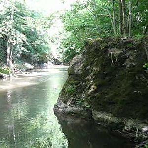 Klen na višnju-Kalaj-Chub Fishing on cherry