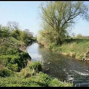 Chub fishing river Witham 2009