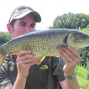 Lure Fishing For Chub With Gareth Goldson (Video 90)