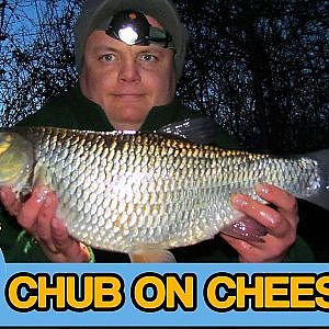 Chub Fishing On The River Loddon  (Video 35)