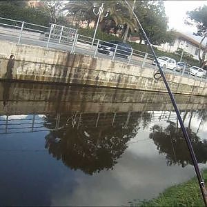 Extreme Spinning: Spinning Cavedano - Spinning Chub Fishing - Street Fishing