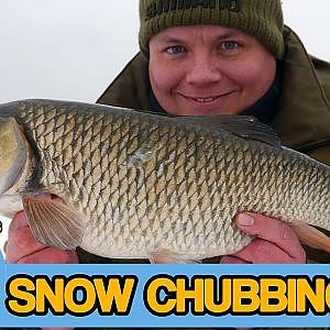 Chub fishing in a winter wonderland (Video 50)