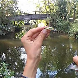 Session de pêche au Chubby Minnow 35 - Perches et Chevesnes - Part2 HD