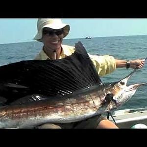 Shimano Baitrunner D Sailfish - Sport Fishing Asia