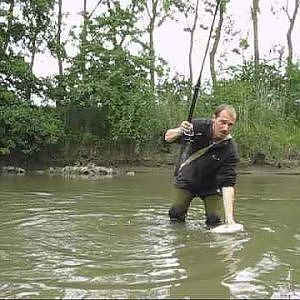 Peche en riviere aux appats naturel(touche en direct)