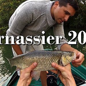 Carnassier 2014 - Brochet, gros chevesnes et grosse perche - Partie 5 - GoPro HD