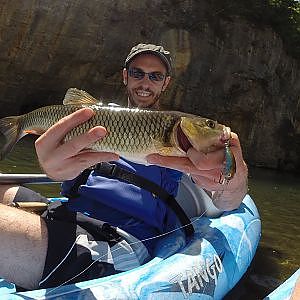 Pêche du chevesne au leurre dans les Gorges du Tarn [GoPro]