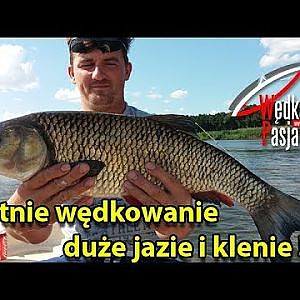 Letnie wędkowanie - duże jazie i ogromne klenie !! Rekordowy kleń ! (film wędkarski) | jak złowić