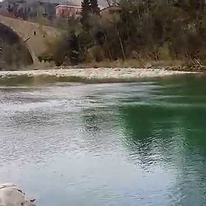 Pesca di un bel cavedano in Santerno