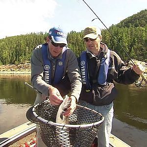 La truite de mer du Fjord du Saguenay partie 1