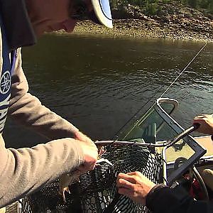 La truite de mer du Fjord du Saguenay partie 1