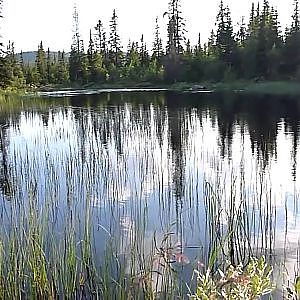 Fjällnära fiske i Jämtland