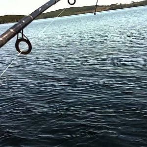 Fiske i Logärden öring