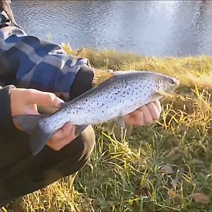 FISKE FÖRBUDET ÄNTLIGEN ÖVER! + havsöring