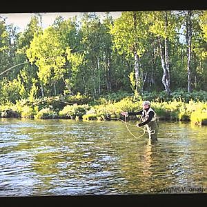 FISKE I ARJEPLOG - VUONATJVIKEN STUGBY OCH FISKE HB