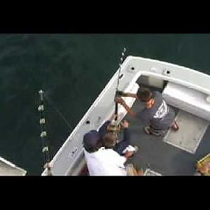 Tuna fishing in Scituate MA