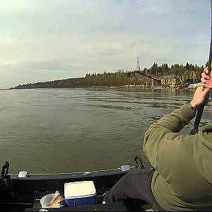 Fraser river spring sturgeon fishing