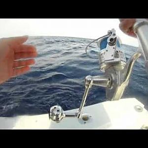 Yellowfin Tuna Fishing on the