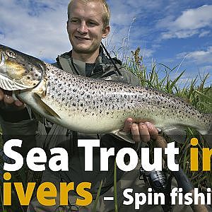 Sea Trout in Rivers - Spin fishing