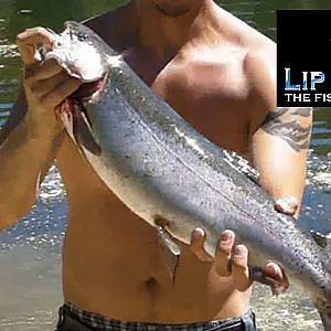 Monster Trout caught on video using Lip Ripperz Z Spoon and 2 lb line.