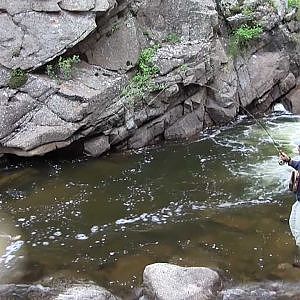 Big Fish, Small Stream. Fly Fishing Colorado May 13, 2012