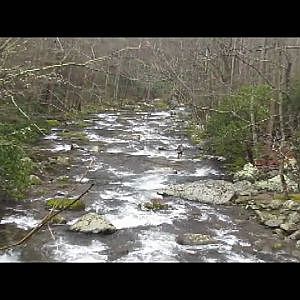 Advice from the Guides - Fishing with Nymphs & Strike Indicators in Mountain Streams