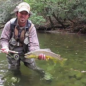 Fly Fishing for Large Brown Trout in the Smokies in the Fall