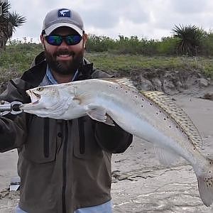 How to catch Trophy Trout: Croaker Fishing for Speckled Trout