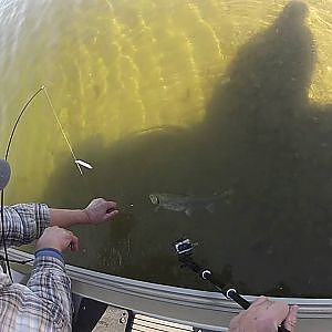 Big Trout using Power bait Tips & rigging setup GoPro