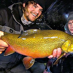 Sightfishing Ice Tiger Trout - Uncut Angling - January 23, 2014