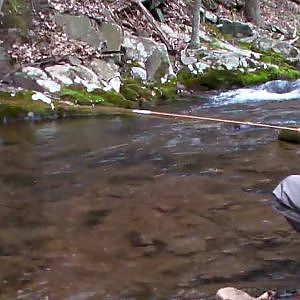 Wild Trout Fishing in Pennsylvania Brookies and Browns