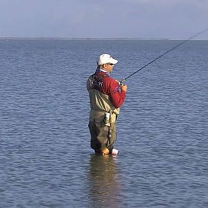 Big Speckled trout Tips