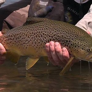 Fly Fishing Tasmania DVD Trailer