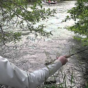 Simms Fly Fishing Videos: Dry Fly Fly Fishing for Trout with Stoneflies and Salmonflies