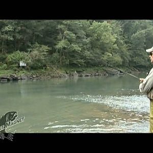 Trout Magnet: The Twitch Method